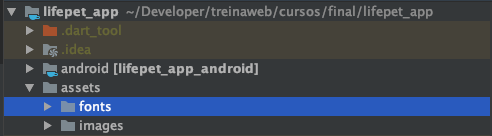 Pasta para adicionar fontes externas no projeto flutter